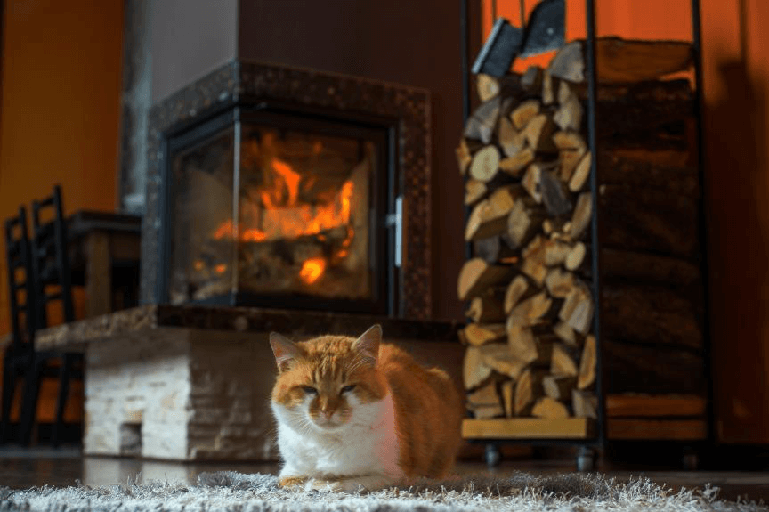 Cat laying on the ground next a fireplace.