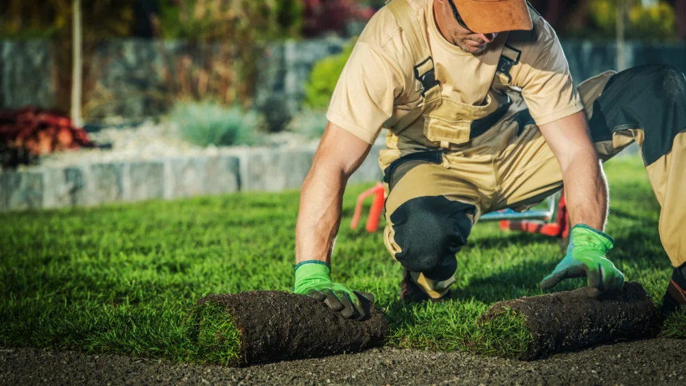 How to Boost Storage Facility Curb Appeal