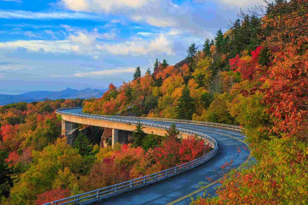 The lovely Blue Ridge Parkway bending around trees in North Carolina.