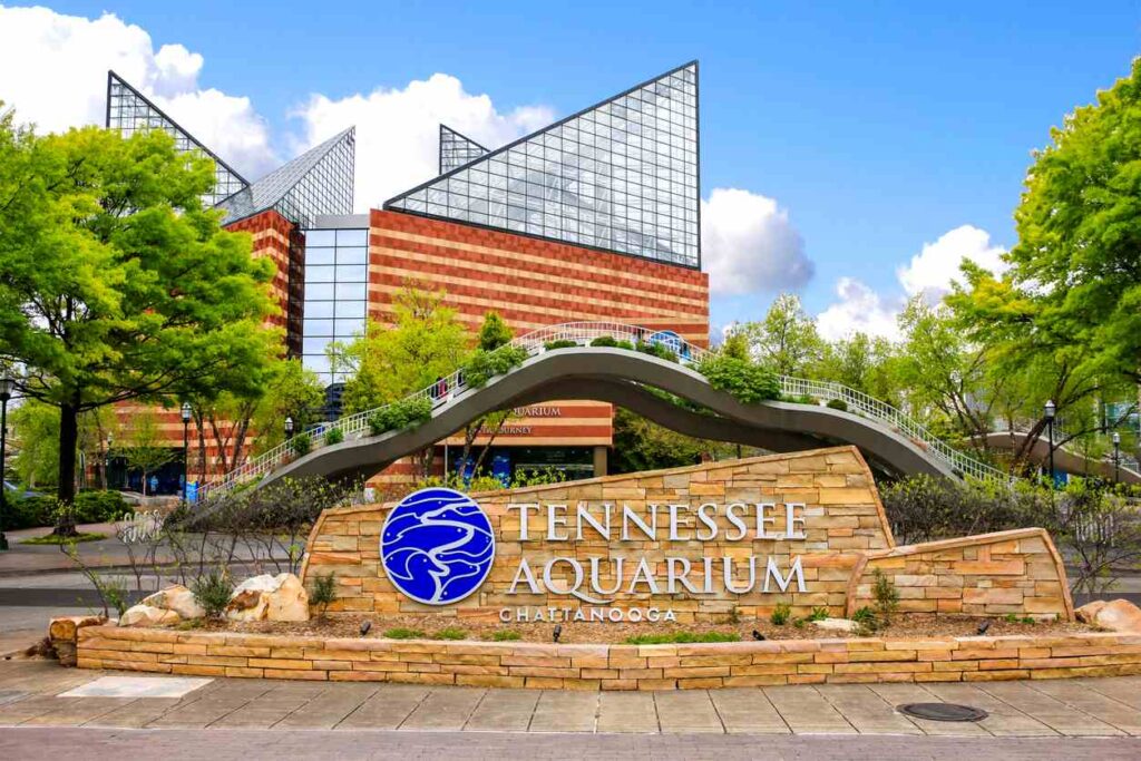 The Tennessee Aquarium, one of the top destinations in Chattanooga.