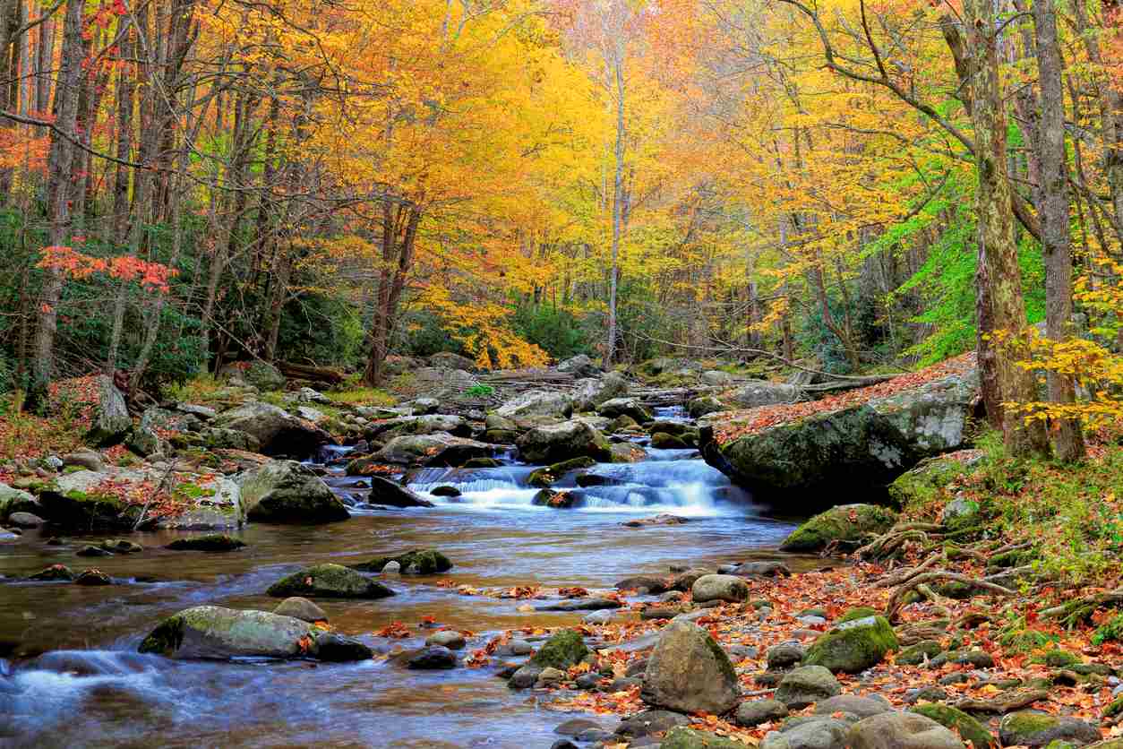 Little River, located in the Great Smoky Mountains in Tennessee.