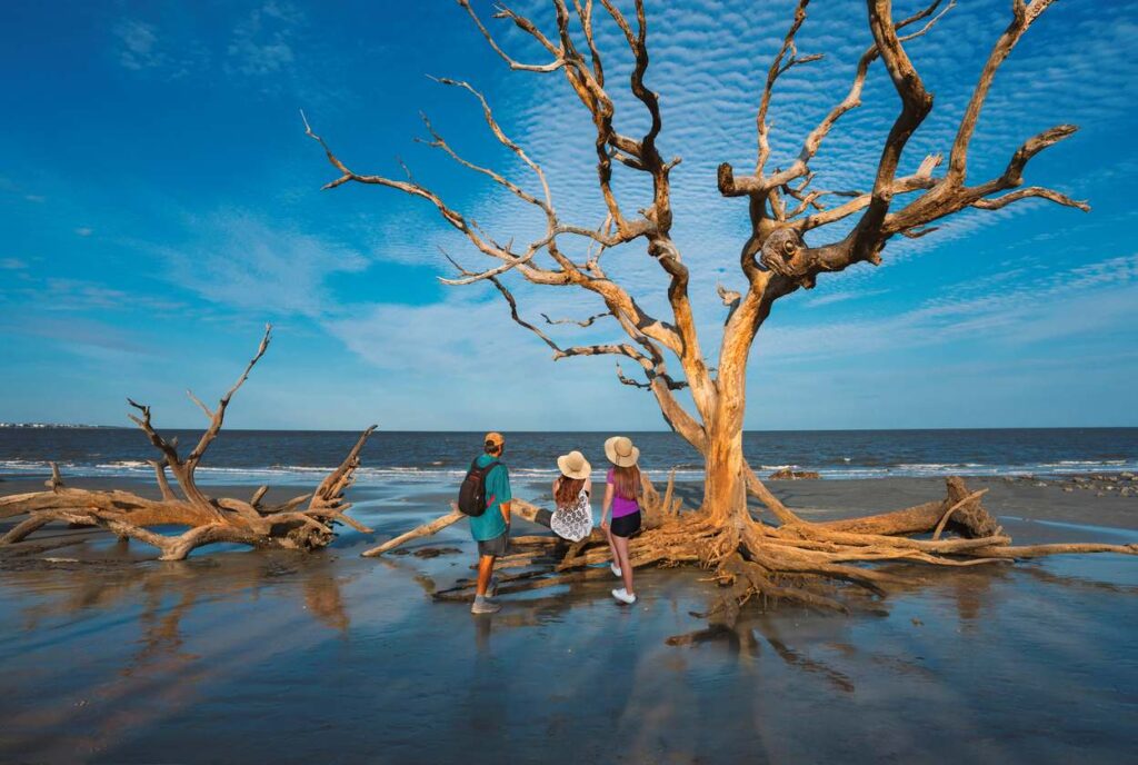 A family explores the beach on one of the Golden Isles together.